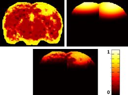 Example of fusion between visual model and contextual model on a contralaterally injured rat.